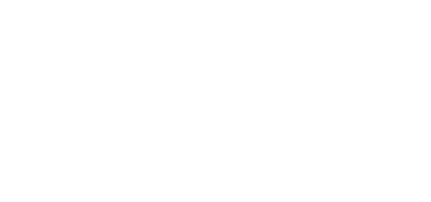 Northland Chiropractic Logo